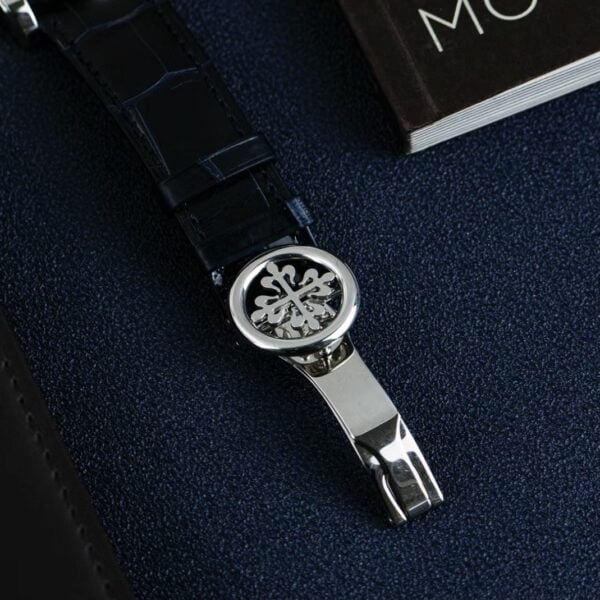 Patek Philippe Grand Complications 6102P-001 Celestial Moon Age