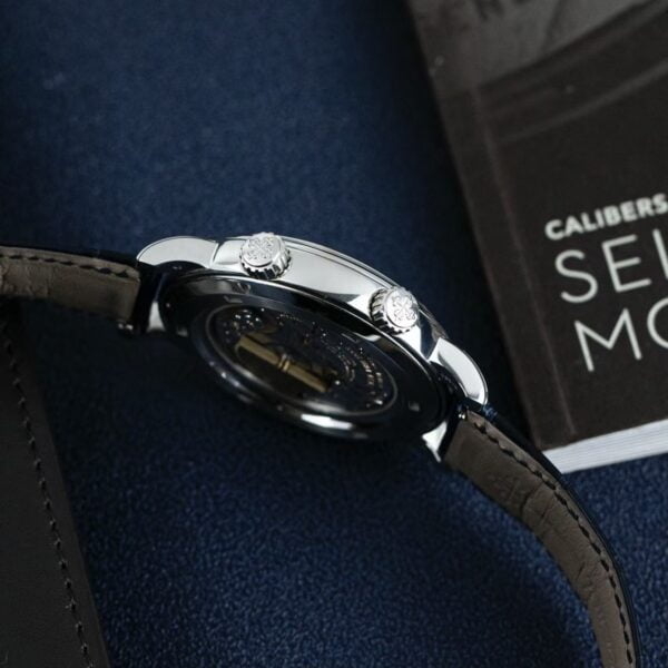 Patek Philippe Grand Complications 6102P-001 Celestial Moon Age