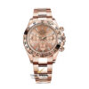 Rolex Cosmograph Daytona 116505 Sundust Dial Everose Gold 40mm