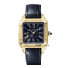 Cartier Santos Dumont CRWGSA0077 43.5mm